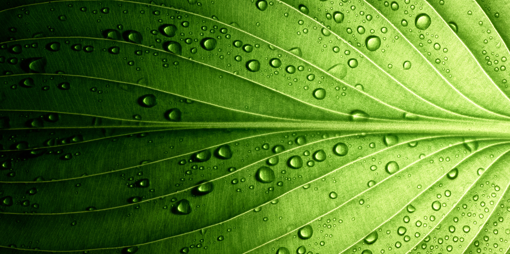 Energy & Environment